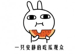 热门网红吃瓜网站,热门事件背后的真相与笑料