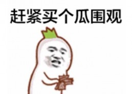 吃瓜群众表情包介绍,揭秘网络时代的“表情语言”