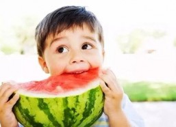 娱乐君吃瓜老绵羊,揭秘老绵羊背后的故事